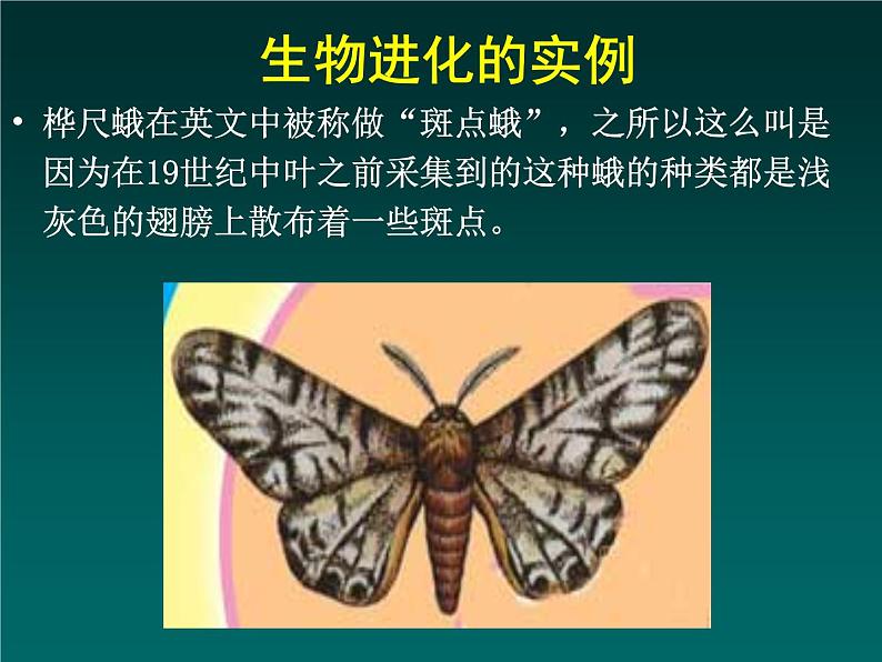 初中生物人教版八年级下册 第三节生物进化的原因 课件06