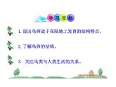 初中生物人教版八年级下册 第四节鸟的生殖和发育 2 课件