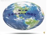 初中生物人教版八年级下册 第一节地球上生命的起源 课件