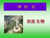 初中生物人教版八年级下册 第一节地球上生命的起源 课件