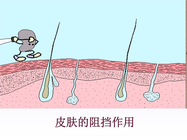 初中生物人教版八年级下册 第二节免疫与计划免疫 1 课件06