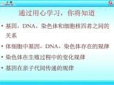 初中生物人教版八年级下册 第二节基因在亲子代间的传递 课件