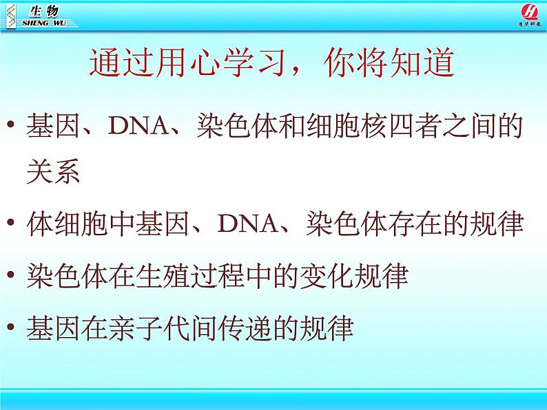 初中生物人教版八年级下册 第二节基因在亲子代间的传递 课件03