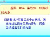 初中生物人教版八年级下册 第二节基因在亲子代间的传递 课件