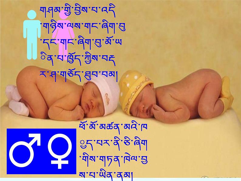 初中生物人教版八年级下册 第四节人的性别遗传 4 课件01