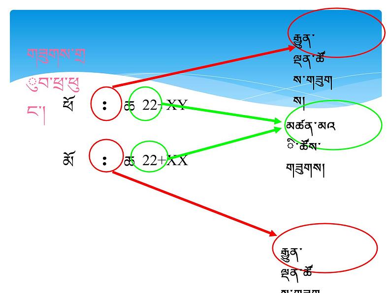初中生物人教版八年级下册 第四节人的性别遗传 4 课件07