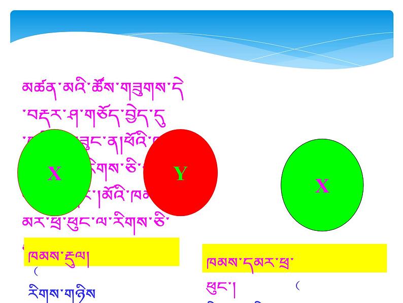 初中生物人教版八年级下册 第四节人的性别遗传 4 课件08