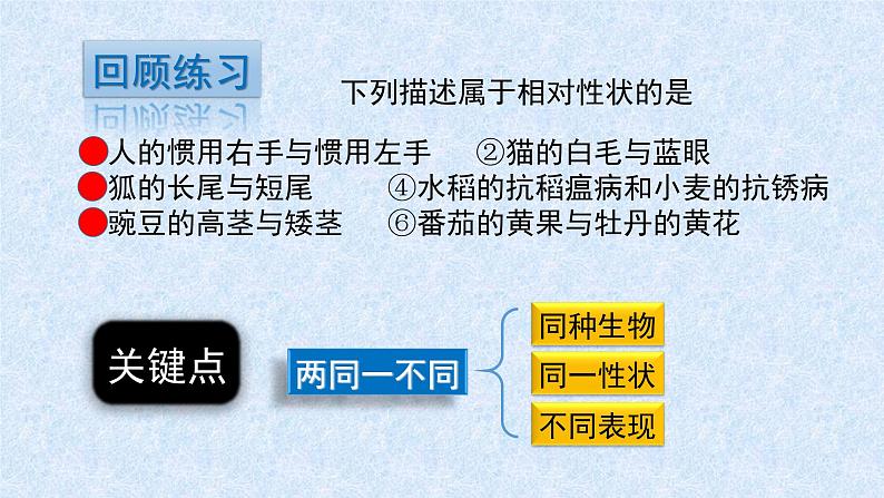 初中生物人教版八年级下册 第二节基因在亲子代间的传递 1 课件02