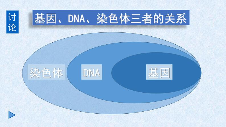 初中生物人教版八年级下册 第二节基因在亲子代间的传递 1 课件06