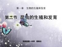 生物人教版 (新课标)第二节 昆虫的生殖和发育说课ppt课件