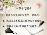初中生物人教版八年级下册 第二节昆虫的生殖和发育 2 课件