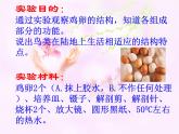 初中生物人教版八年级下册 第四节鸟的生殖和发育 5 课件