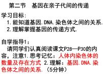 初中人教版 (新课标)第二节  基因在亲子代间的传递图文ppt课件