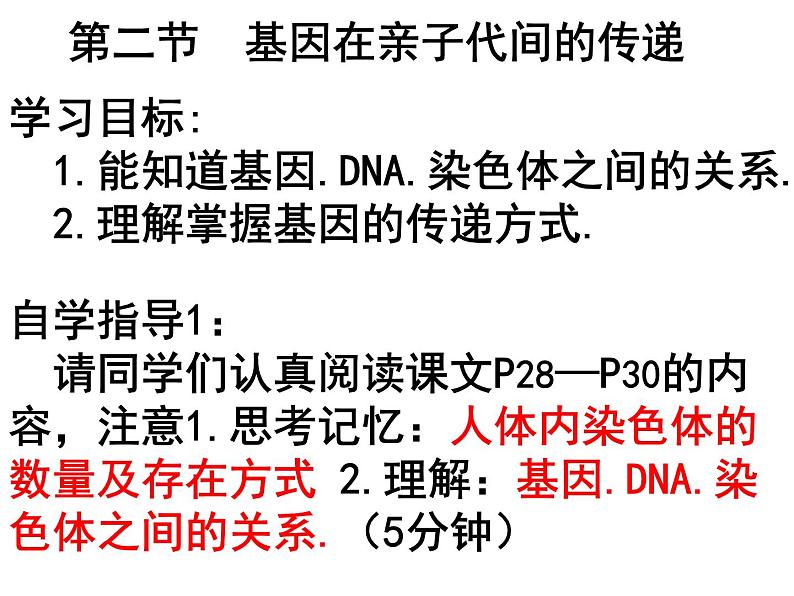 初中生物人教版八年级下册 第二节基因在亲子代间的传递 2 课件第1页