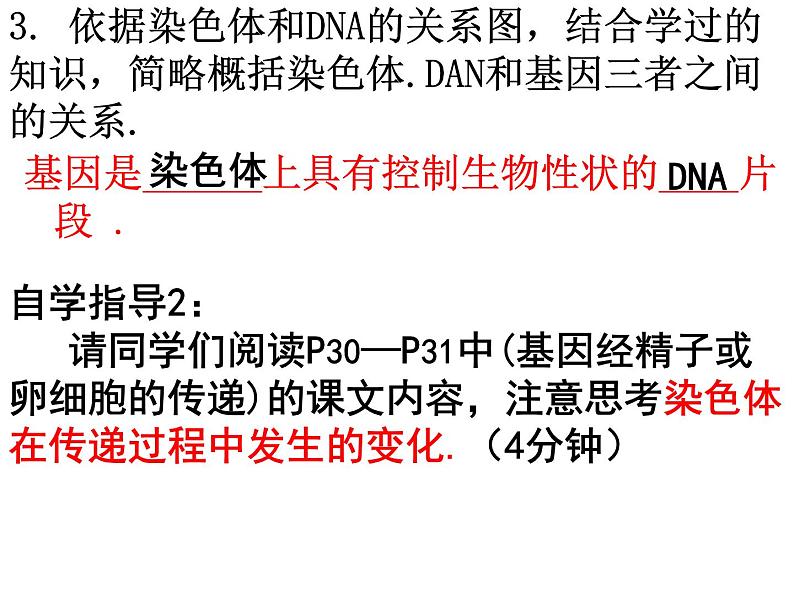 初中生物人教版八年级下册 第二节基因在亲子代间的传递 2 课件第3页