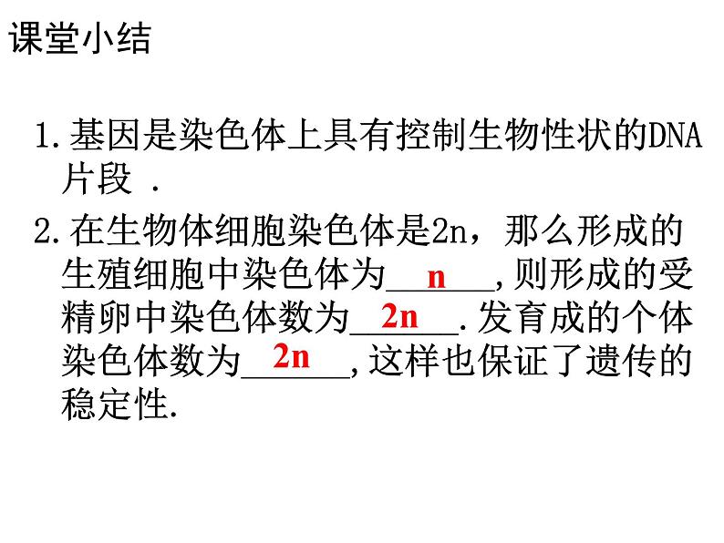 初中生物人教版八年级下册 第二节基因在亲子代间的传递 2 课件第8页