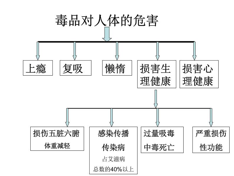 初中生物人教版八年级下册 第二节选择健康的生活方式 1 课件07