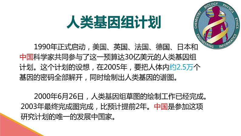 初中生物人教版八年级下册 第二节基因在亲子代间的传递 课件06