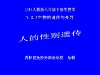 初中生物人教版 (新课标)八年级下册第四节 人的性别遗传说课ppt课件