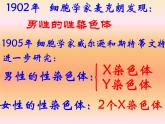 初中生物人教版八年级下册 第四节人的性别遗传 2 课件