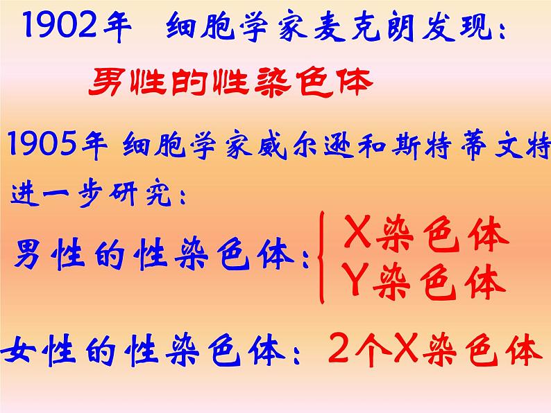 初中生物人教版八年级下册 第四节人的性别遗传 2 课件第2页