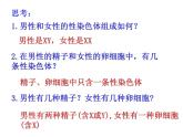 初中生物人教版八年级下册 第四节人的性别遗传 2 课件