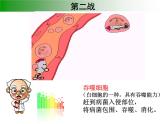 初中生物人教版八年级下册 第二节免疫与计划免疫 3 课件