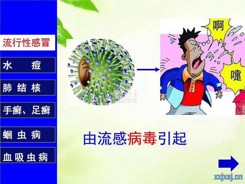 初中生物人教版八年级下册 第一节传染病及其预防 1 课件08