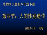 初中生物人教版八年级下册 第四节人的性别遗传 1 课件