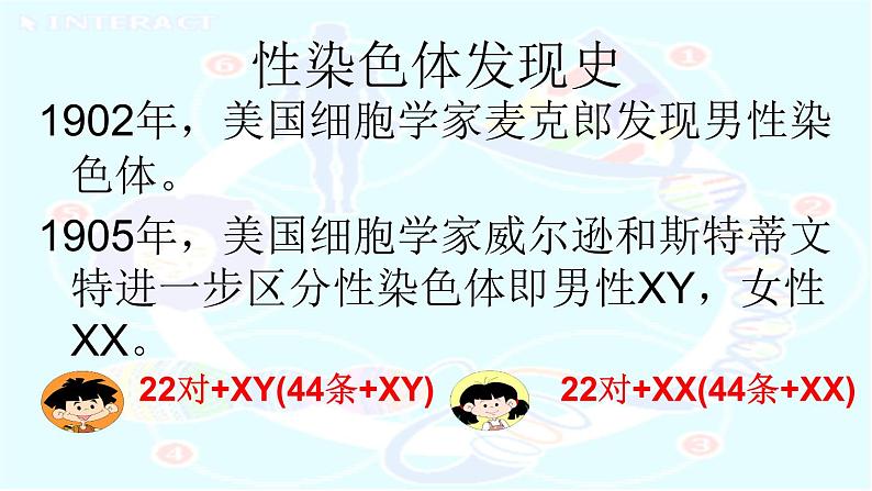 初中生物人教版八年级下册 第四节人的性别遗传 1 课件06