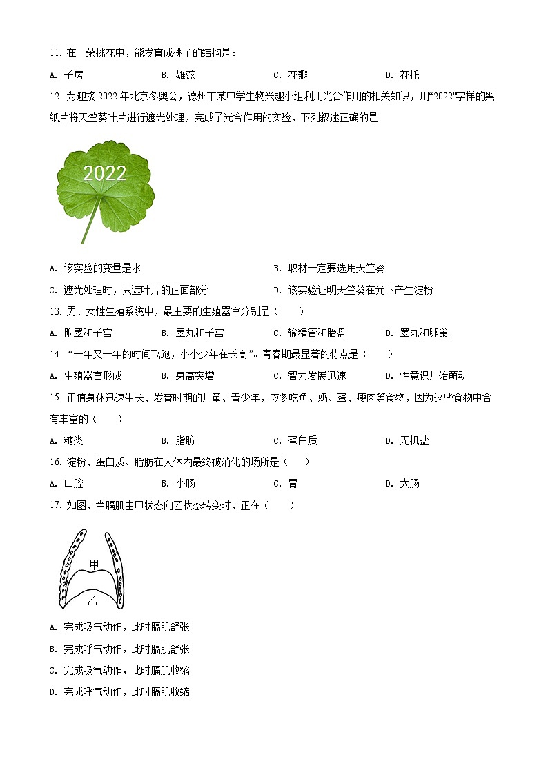 精品解析：2022年云南省文山州砚山县中考一模（解析版+原卷板）03