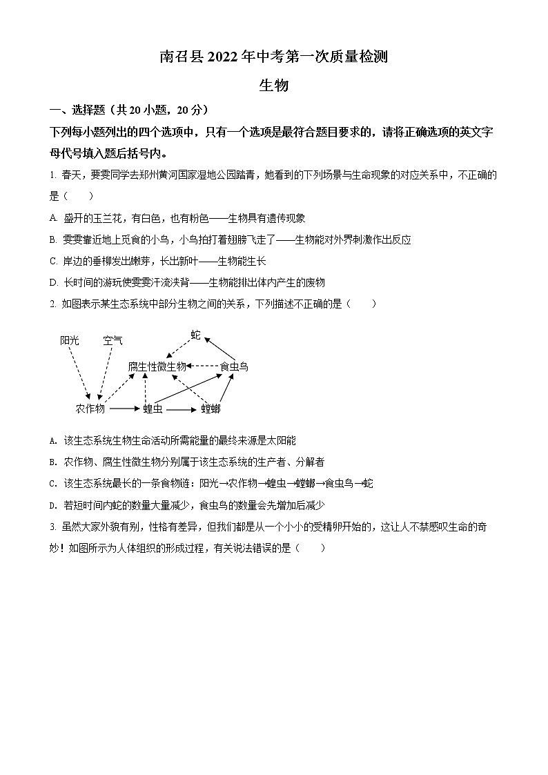 精品解析：2022年河南省南阳市南召县中考一模生物试题（原卷版）第1页