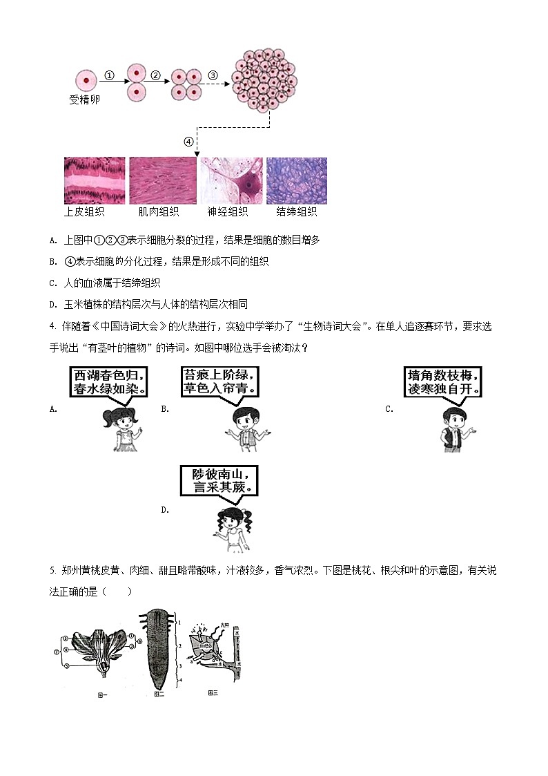精品解析：2022年河南省南阳市南召县中考一模生物试题（原卷版）第2页