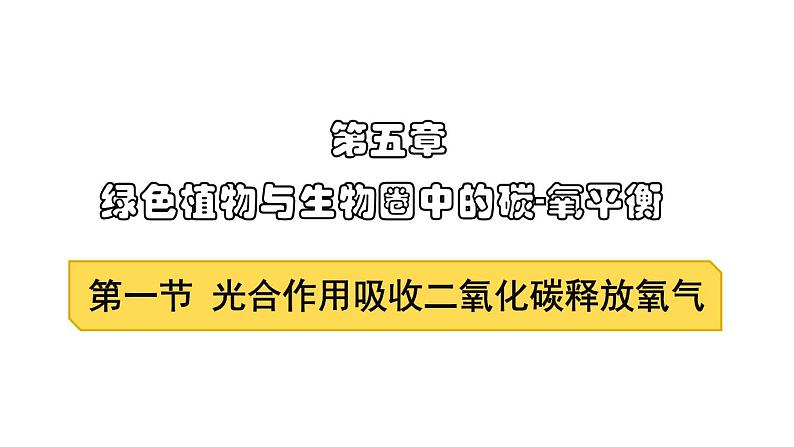 3.5.1光合作用吸收二氧化碳释放氧气课件PPT01