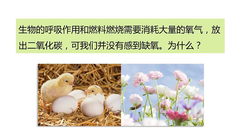 3.5.1光合作用吸收二氧化碳释放氧气课件PPT02