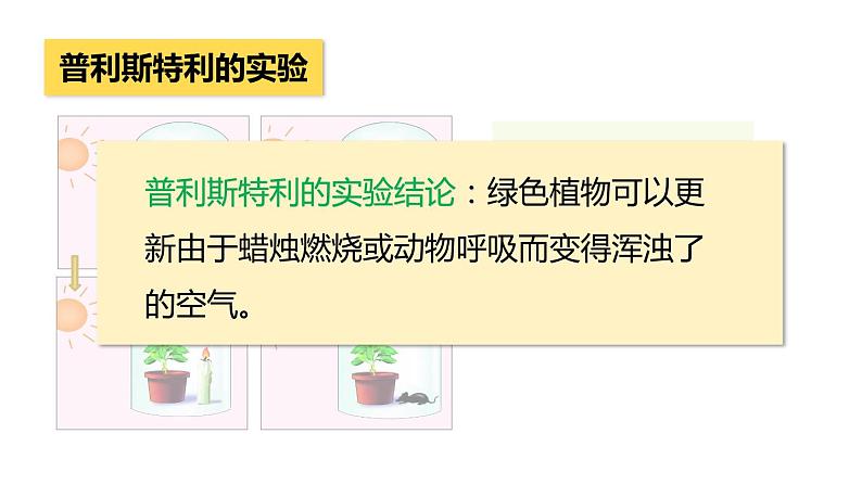 3.5.1光合作用吸收二氧化碳释放氧气课件PPT06