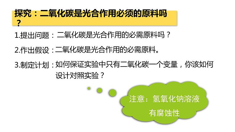 3.5.1光合作用吸收二氧化碳释放氧气课件PPT07