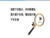 1.1.1生物的特征课件PPT