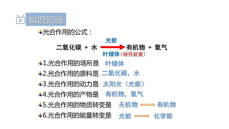 3.5.2绿色植物的呼吸作用课件PPT02