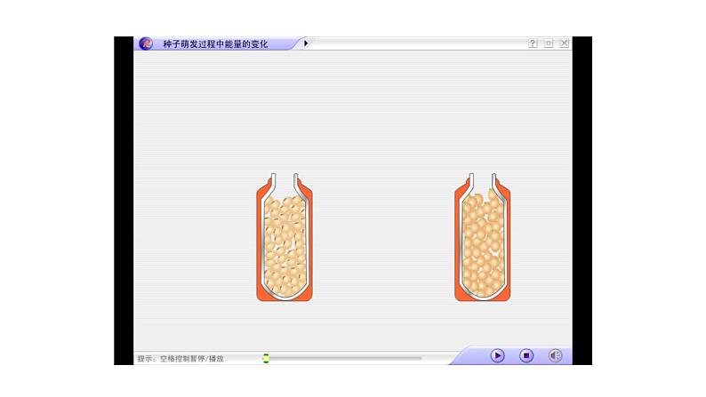 3.5.2绿色植物的呼吸作用课件PPT06