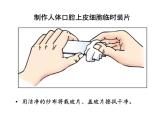 2.1.3动物细胞课件PPT