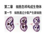 2.2.1细胞通过分裂产生新细胞课件PPT