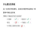 1.2.2生物与环境组成生态系统课件PPT