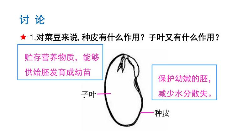 3.1.2种子植物课件PPT第7页