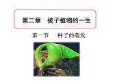 3.2.1种子的萌发课件PPT