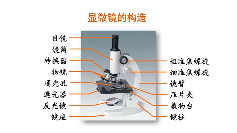 2.1.1练习使用显微镜课件PPT07