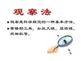 第一节  生物的特征课件PPT