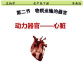 3-3-2物质运输的器官（动力器官—心脏）课件2021-2022学年济南版生物七年级下册