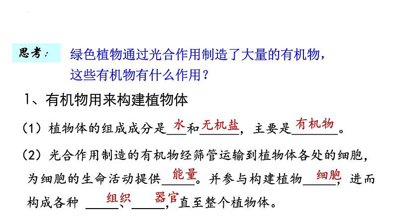 3-4绿色植物是生物圈中有机物的制造者（第2课时）课件2021-2022学年鲁科版生物六年级下册06