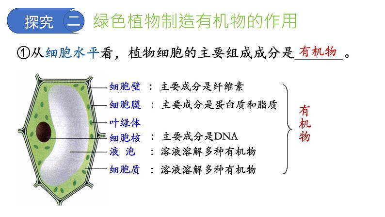 3-4绿色植物是生物圈中有机物的制造者（第2课时）课件2021-2022学年鲁科版生物六年级下册08